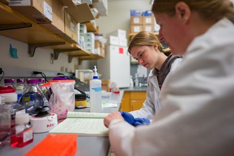 Student researchers in a lab reviewing notes